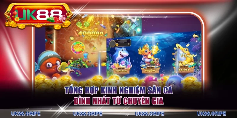 Tổng hợp kinh nghiệm săn cá đỉnh nhất từ chuyên gia